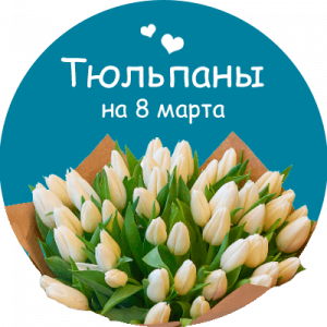 Купить тюльпаны в Брянске
